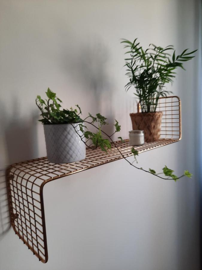 Apartament W Centrum Wroclawia Appartement Buitenkant foto