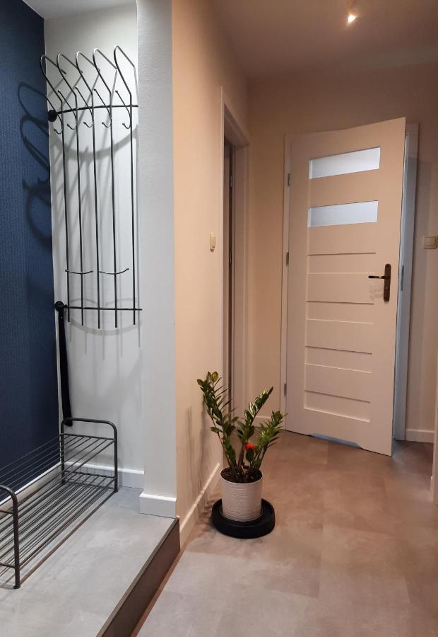 Apartament W Centrum Wroclawia Appartement Buitenkant foto